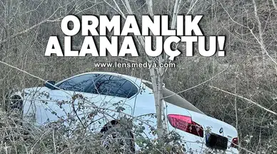 Ormanlık alana uçtu!