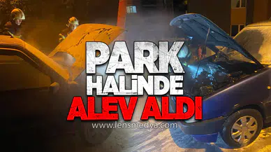 Park halindeki araç alev aldı