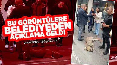 Bu görüntülere belediyeden açıklama geldi!