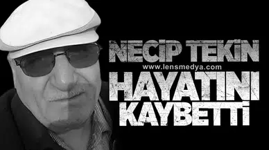 Necip Tekin yaşamını yitirdi