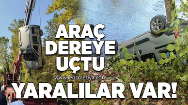 Araç dereye uçtu!