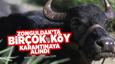 Zonguldak'ta birçok köy karantinaya alındı!