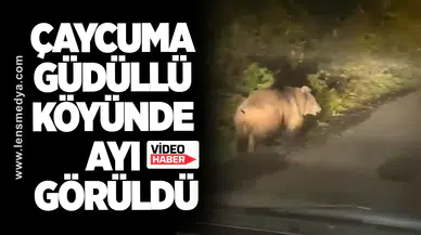 Çaycuma Güdüllü köyünde ayı görüldü...