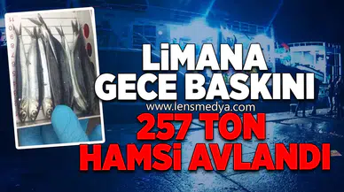 Limana Gece Baskını: 257 Ton Hamsi Avlandı