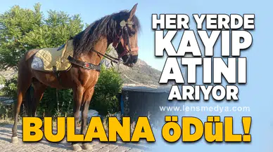 Kayıp atını arıyor... Bulana ödül var!
