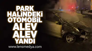 Park halindeki araç alev alev yandı!