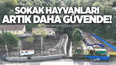 SOKAK HAYVANLARI BARINMA EVİ’NİN KAPASİTESİ ARTIRILIYOR