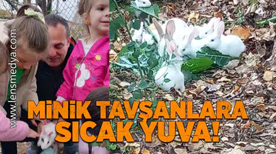 Minik tavşanlara sıcak yuva!