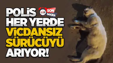 Polis her yerde vicdansız sürücüyü arıyor!