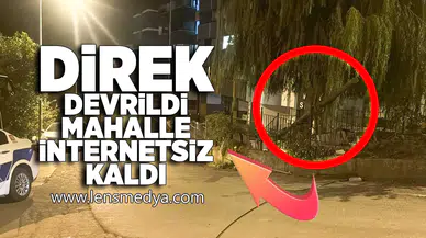 Direk devrildi, mahalle internetsiz kaldı!