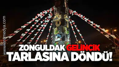 Zonguldak Gelincik Tarlasına Döndü