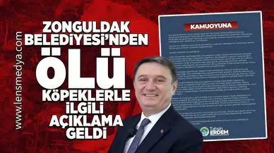 Zonguldak Belediyesi'nden ölü köpeklerle ilgili açıklama geldi!