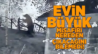 Evin büyük misafiri nereden çıkacağını bilemedi!