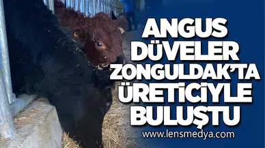 Angus Düveler Zonguldak'ta Üreticiyle Buluştu