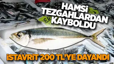 Zonguldak’ta İstavrit 200 TL’ye Dayandı
