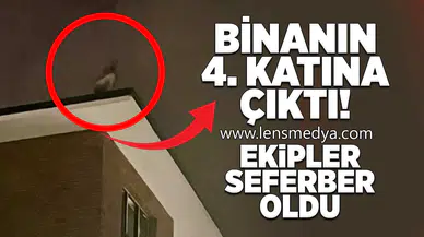 Binanın 4. katına çıktı: Ekipler seferber oldu!