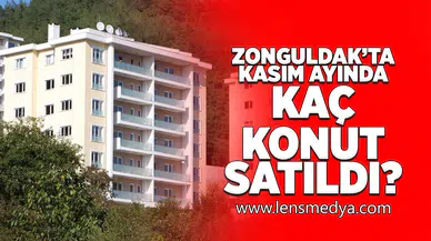 Zonguldak'ta kasım ayında kaç konut satıldı?