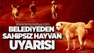 BELEDİYEDEN SAHİPSİZ HAYVAN UYARISI