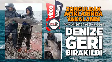 Zonguldak açıklarında yakalandı, denize geri bırakıldı