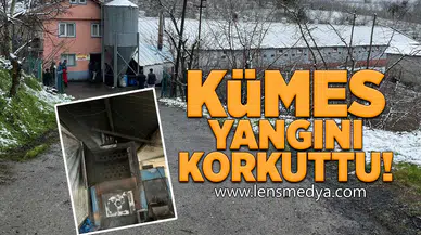 Kümes yangını korkuttu!