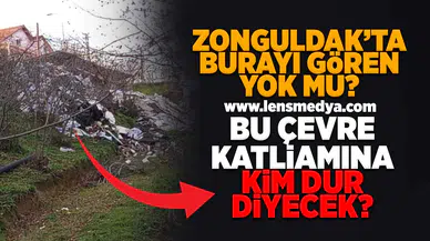 Bu çevre katliamına kim dur diyecek?