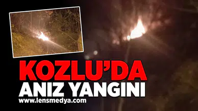 Kozlu'da anız yangını!