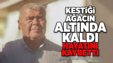 Kestiği ağacın altında kaldı... Hayatını kaybetti!