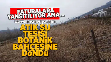 Atık su arıtma tesisi botanik bahçesine döndü!