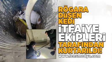 Rögara düşen kedi kurtarıldı!