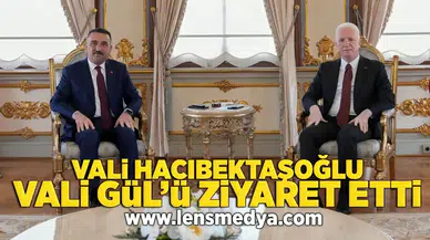 Vali Hacıbektaşoğlu İstanbul Valisi Gül'ü ziyaret etti
