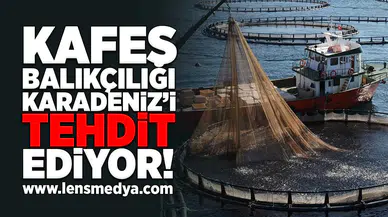 Kafer Balıkçılığı Karadeniz'i tehdit ediyor!