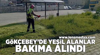 Gökçebey'de yeşil alanlar bakıma alındı