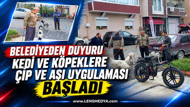 BELEDİYEDEN DUYURU: KEDİ VE KÖPEKLERE ÇİP VE AŞI UYGULAMASI BAŞLADI