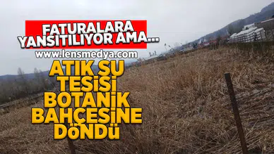 Atık su arıtma tesisi botanik bahçesine döndü!