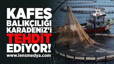 Kafer Balıkçılığı Karadeniz'i tehdit ediyor!