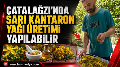 ÇATALAĞZI’NDA SARI KANTARON YAĞI ÜRETİMİ YAPILABİLİR