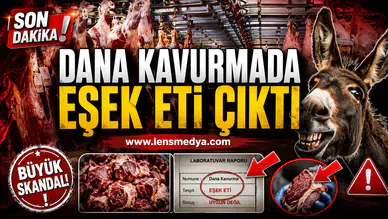 Dana kavurmada eşek eti çıktı!