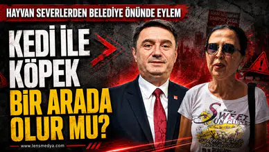 Hayvanseverlerden Zonguldak'ta eylem!