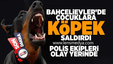 Bahçelievler'de çocuklara köpek saldırısı!