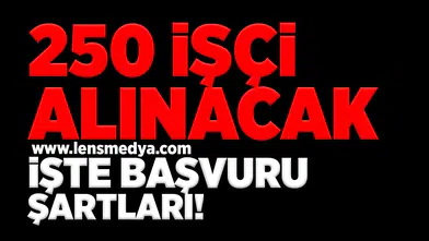 250 işçi alınacak işte başvuru şartları!