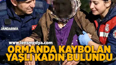 Ormanda kaybolan kadın bulundu... Yaşam mücadelesi veriyor!