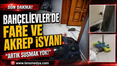 BAHÇELİEVLER’DE FARE VE AKREP İSYANI: “ARTIK SUSMAK YOK!”