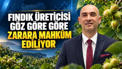 “FINDIK ÜRETİCİSİ GÖZ GÖRE GÖRE ZARARA MAHKÛM EDİLİYOR”