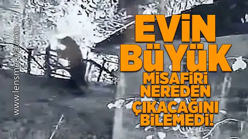 Evin büyük misafiri nereden çıkacağını bilemedi!