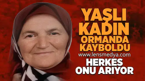 Yaşlı kadın ormanda kayboldu!