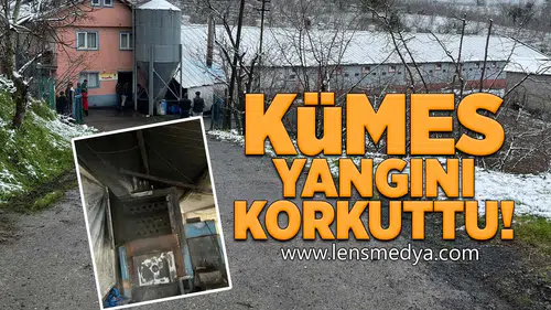 Kümes yangını korkuttu!
