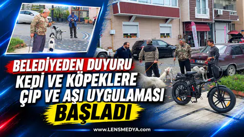 BELEDİYEDEN DUYURU: KEDİ VE KÖPEKLERE ÇİP VE AŞI UYGULAMASI BAŞLADI