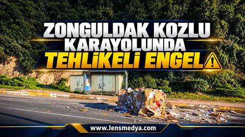 Zonguldak Kozlu Karayolunda Tehlikeli Engel