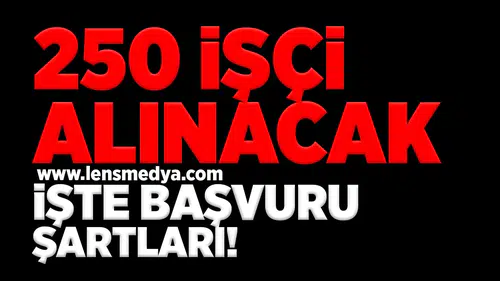 250 işçi alınacak işte başvuru şartları!