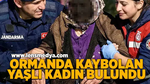 Ormanda kaybolan kadın bulundu... Yaşam mücadelesi veriyor!